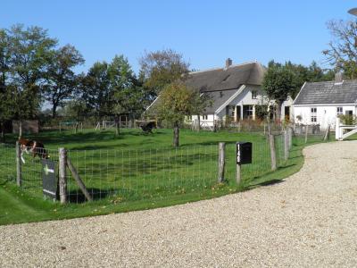 Monumentale boederij met riet