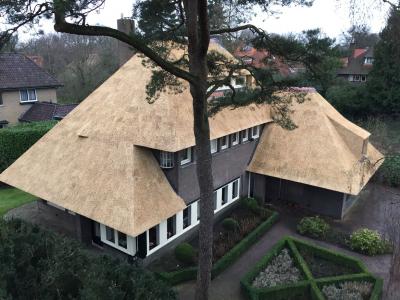 Rietdekker